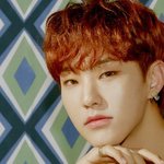 [세븐틴] <b>병지컷</b> 짱잘어울려