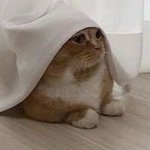 [방탄소년단] 인더수웊 겨울버전 존버<b>탑</b>니다