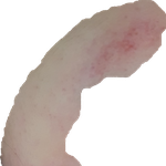 [꼭조언부탁] <b>아비</b>란 인간이 저를 죽어라 팼어요