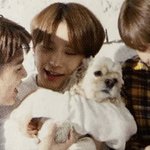 [NCT] 다음생엔 댕댕이로 <b>태어날래</b>