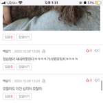 <b>이색</b>끼 반려동물 자랑 글에서 왜이래
