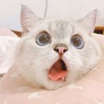 일본남자애들 왜<b>이리</b> 더러워?