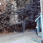 나 신발 모르고 크게 시켰는데