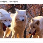 얘들아 이거 에<b>바야</b>?