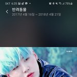 ㅋㅋㅋㅋㅋ <b>슈가</b> 뭐임ㅋㅋㅋㅋㅋㅋㅋㅋㅋ