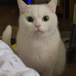 [드루와] 논술은 언제부터 준비하면 좋을까?