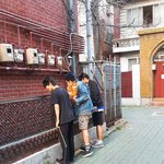 본진 냥이들한테 누구보다 진심임