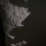 ㅅㅂ 이렇게 <b>그림자샷</b> 찍는거맞냐 ㅋㅋㅋㅋㅋㅋㅋㅋㅋㅋㅋㅋㅋ