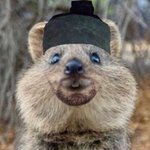 [방탄소년단] 그냥 펠삐지만 <b>D</b>-1에는