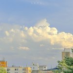 [댓글부탁해] <b>구병모</b> 아가미 읽어본사람?