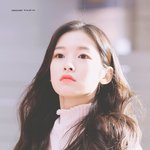 근데 내가 연예인이면 수지나 아이유 좋아할 듯