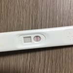 [댓글꼭부탁] <b>얼리</b>임테기