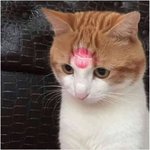 <b>외래어</b>도 한글로 쓰면 한글이지