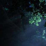 [여자<b>친구</b>] 여친 일코용 배경<b>화면</b>