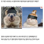 [방탄소년단] 자랑스럽게 틀림ㅎㅎ