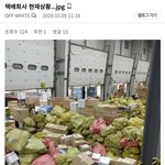 [드루와] 지금 <b>택배회사</b>