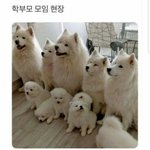[댓글부탁해] 니네 그사람 아냐