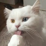 [드루와] 낼 <b>TVN</b> 볼거 많다