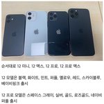 [댓글부탁해] 아이폰 뭐살지 좀 골라줘ㅠ