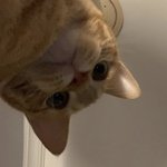 내일 화장할 때 참고할 거