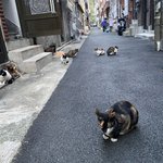 여기가 그 물리박사님들 계신 10대판 맞나요