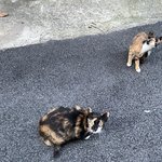 물리 쌉고수 드루와