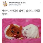[드루와] 레스토랑에서 알바하는데 뭐입고 가야함??