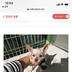 귀요미 울할배 입양일기 {<b>노견</b>입양}