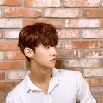 [펜타곤] 타곤이들