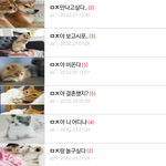 <b>미정</b>이랑 손잡고