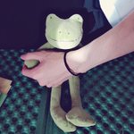 [펜타곤] 혹시 이 인형 파는 <b>구매처</b> 아는 사람 ..