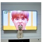 [댓글부탁해] 얘들아 <b>말끝</b>에 ㅇㅇ 왜붙이는거야