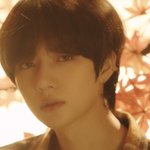 단풍이 여기있네...
