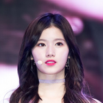 <b>사나</b>도 옆광대있네