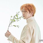 [펜타곤] 와 가사 모야