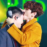 <b>백도</b> 관계성이 도라지임