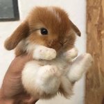 [댓글부탁해] 나 오늘 진짜 첫데이트인데 도와줄 공주들 ㅜㅜ