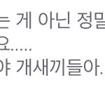 내 친구가 꿈이 아이돌이라는데