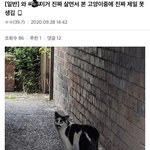 [댓글부탁해] 얘들아 공연 <b>날짜</b>좀 골라줘ㅠㅠ
