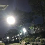 <b>야자</b>를 5일 다 하는 사람이 있다!?!?!?