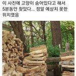 [댓글부탁해] 코로나로 <b>인해</b> 좋아진점?