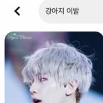 강쥬 <b>이발</b> 검색햇는데