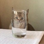 본인 아이돌에 팬이 <b>탈주</b>한거 같다