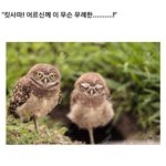 나만 암기과목 이케 외움?