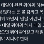 [NCT] 아이거지금봤는데