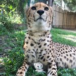 [NCT] ㅅㄷ 학교에서 <b>호호</b>