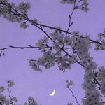 [드루와] <b>짝</b><b>남</b>이 선배인 판<b>녀</b>들 드루와봐