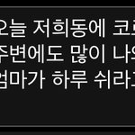 얘드라 나 오늘 학원 안갈 <b>핑계</b>좀 봐줘