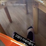 경남 ㅅㅊ 모 얼집교사 인성