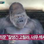 근데 <b>아미</b>들말이야